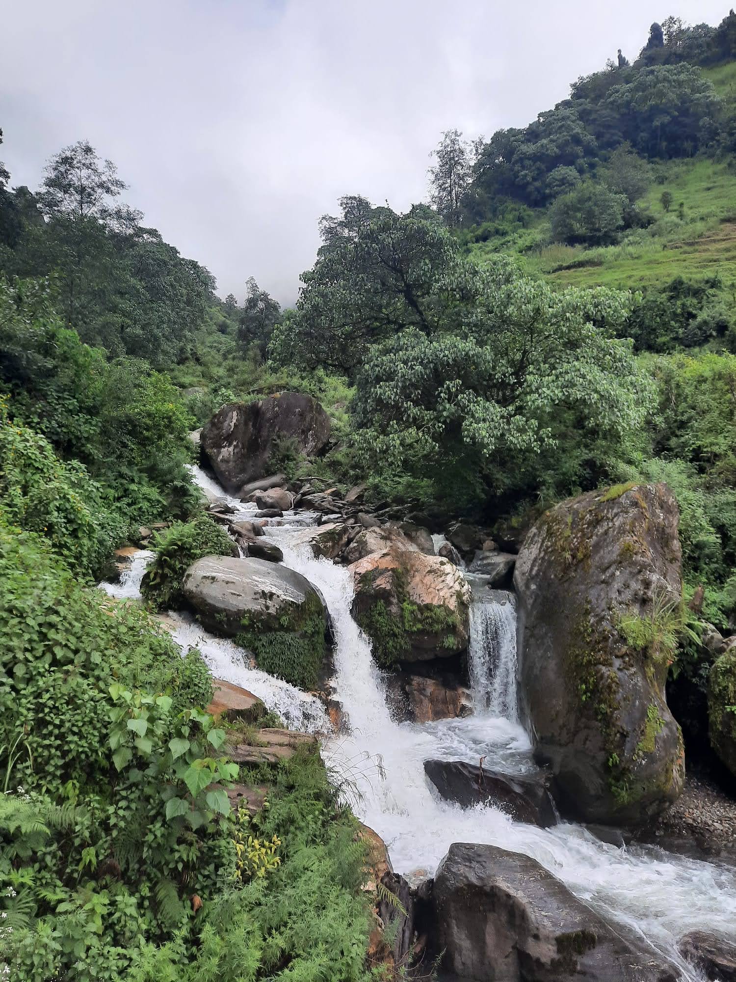 Monsoon in Mardi